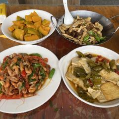 岳西黄尾山林土鸡农家乐 User Photo