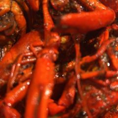 YI HUAI CRAYFISH User Photo