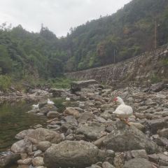 青云山新丰溪鲜楼(岭路店) User Photo