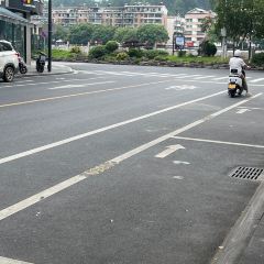 衢州鸭头蓓军鸭 User Photo