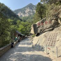 評論圖片 4