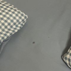 嵊泗縣花鳥老兵之家漁家民宿張用戶圖片