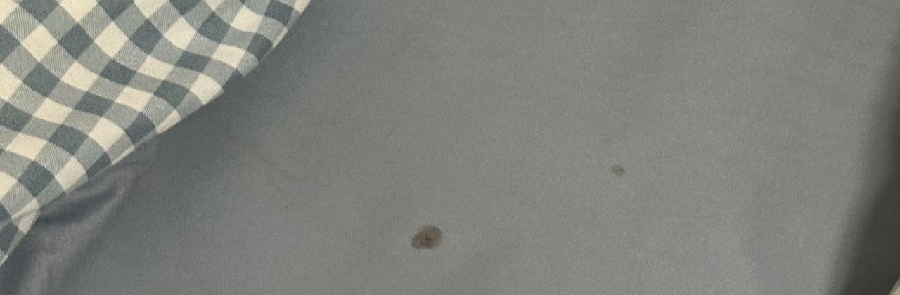 嵊泗縣花鳥老兵之家漁家民宿