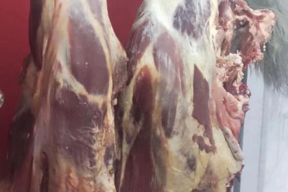 雷记高原牦牛骨汤锅馆