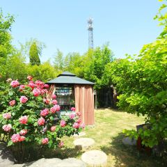 院中园园林餐厅 User Photo