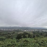 評論圖片 1