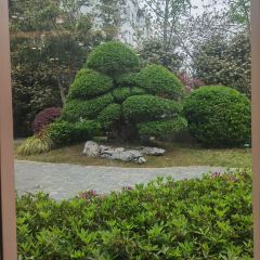 Quyuan Teahouse(Songcheng Branch) User Photo