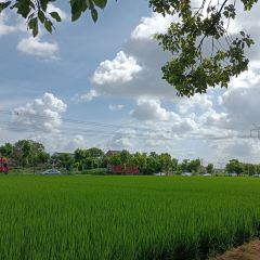 Barbossa’s Bounty User Photo