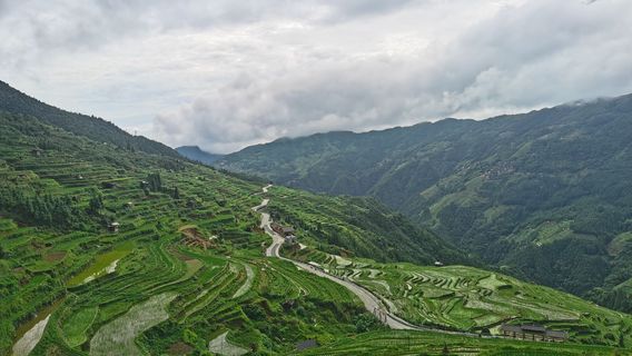 Dangga Terraces