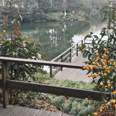 天泽楼茶书院 User Photo
