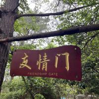 評論圖片 2