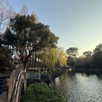 評論圖片 6