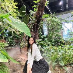 Mango tree芒果樹泰式餐廳（龍湖時代天街店）張用戶圖片