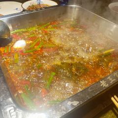 LAO WANG JIA YI ZHAO User Photo