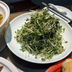 云外香美食城 User Photo
