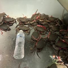 觅味小龙虾·缅甸活螃蟹 User Photo