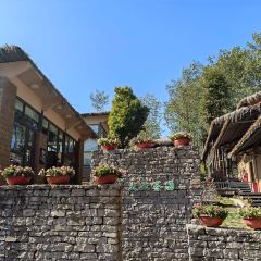 大地茶海餐廳張用戶圖片