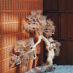 柒园·玺荟(瑞虹太阳宫店) User Photo