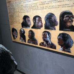元谋正宗凉鸡店 User Photo