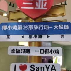 椰小鸡·椰子鸡（天悦城店） User Photo