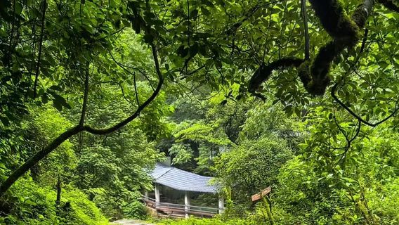 Xinping