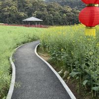 評論圖片 6