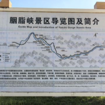 評論圖片 4