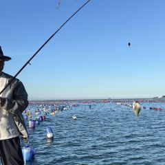 渔舟畅晚_出海捕鱼 User Photo