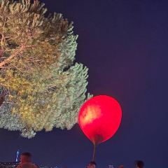 Sunset Grill & Bar User Photo