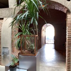 一尺花园(红窑店) User Photo