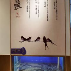 望蓉城·古法酸菜鱼(爱琴海店) User Photo