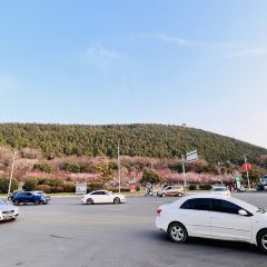 徐州万豪酒店·韩舍餐厅 User Photo