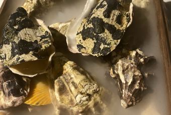 L'Arôme by the sea Phuket User Photo