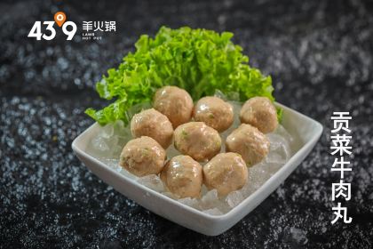 蒙都43°9羊火锅(乌丹店)