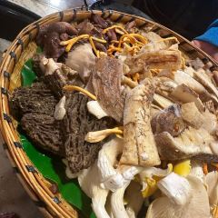 云味.野生菌自助火锅(南屏店) User Photo