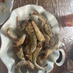 渔舟畅晚_出海捕鱼 User Photo