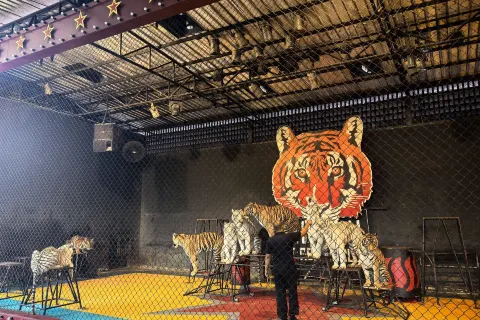 Hua Hin Safari & Adventure Park