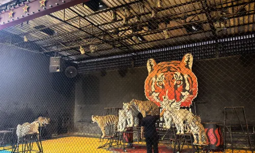 Hua Hin Safari & Adventure Park