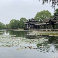 評論圖片 3