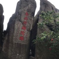 評論圖片 5