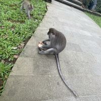 評論圖片 6