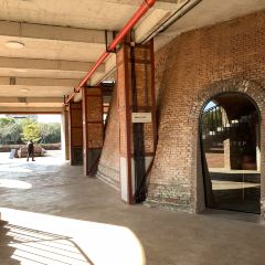 一尺花园(红窑店) User Photo