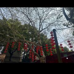 Royal Banquet Hall User Photo