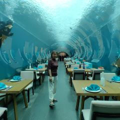 Aqua - Aquarium Restaurant 여행 사진