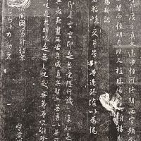 評論圖片 2