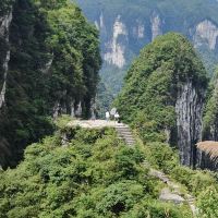 評論圖片 3
