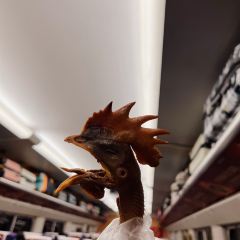 弥勒马氏卤鸡分店(人民路店) User Photo
