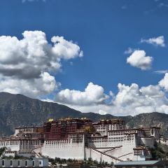 温莎咖啡公馆(布达拉宫景观店) User Photo