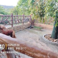 評論圖片 5