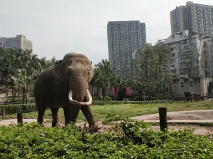 動物園